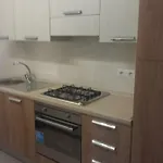 Lory Албиния