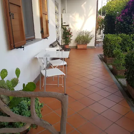 Lory 4* 알비니아