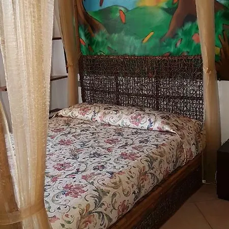 Lory 4* ألبينيا