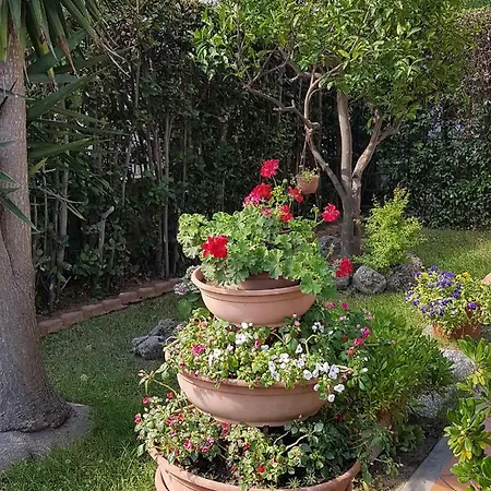 Πανσιόν Lory Albinia