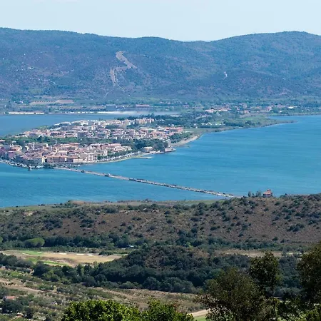 Lory アルビニア