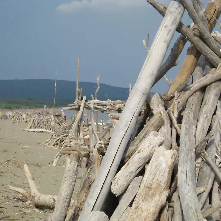 Lory 4* アルビニア