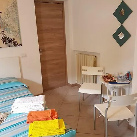 Lory アルビニア