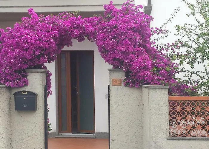 Guest house Lory Albinia